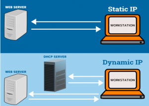 Static IP vs. Dynamic IP | Make the Right Choice Today! | Netpluz Asia